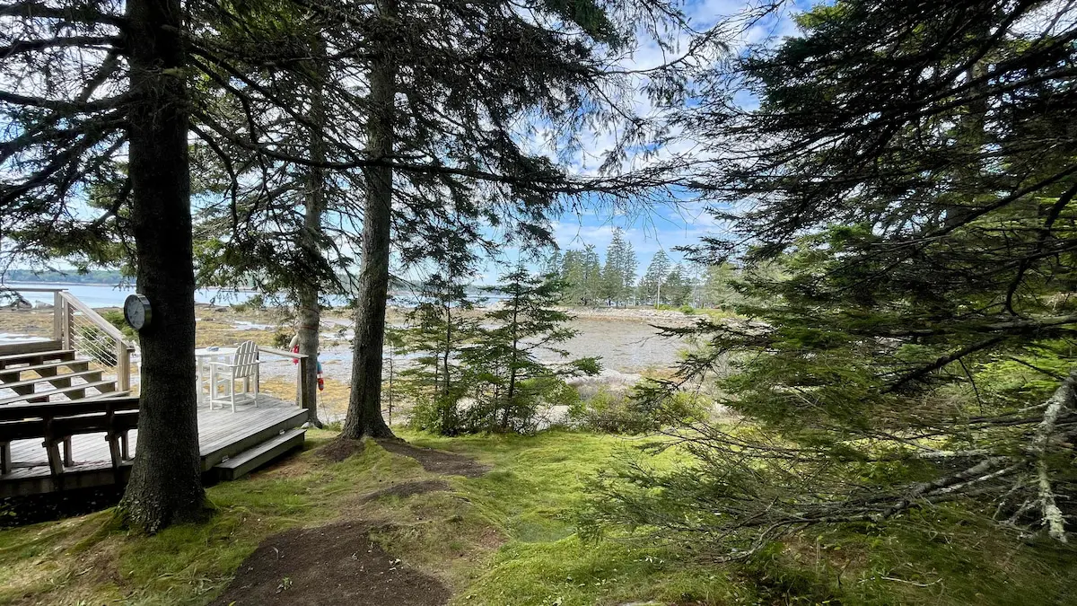 Whispering Spruces