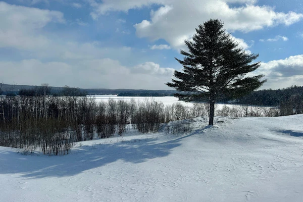 Greens, Pines & Lake Views Condo