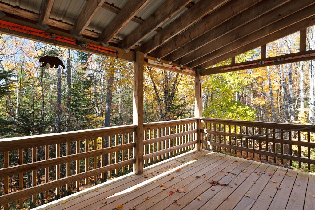 Rustic cabin near boating, fishing or hiking to the lake - dog-friendly