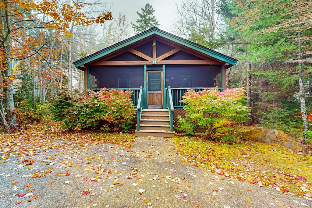 Charming cabin getaway with firepit, kitchen, WiFi & nature at your door