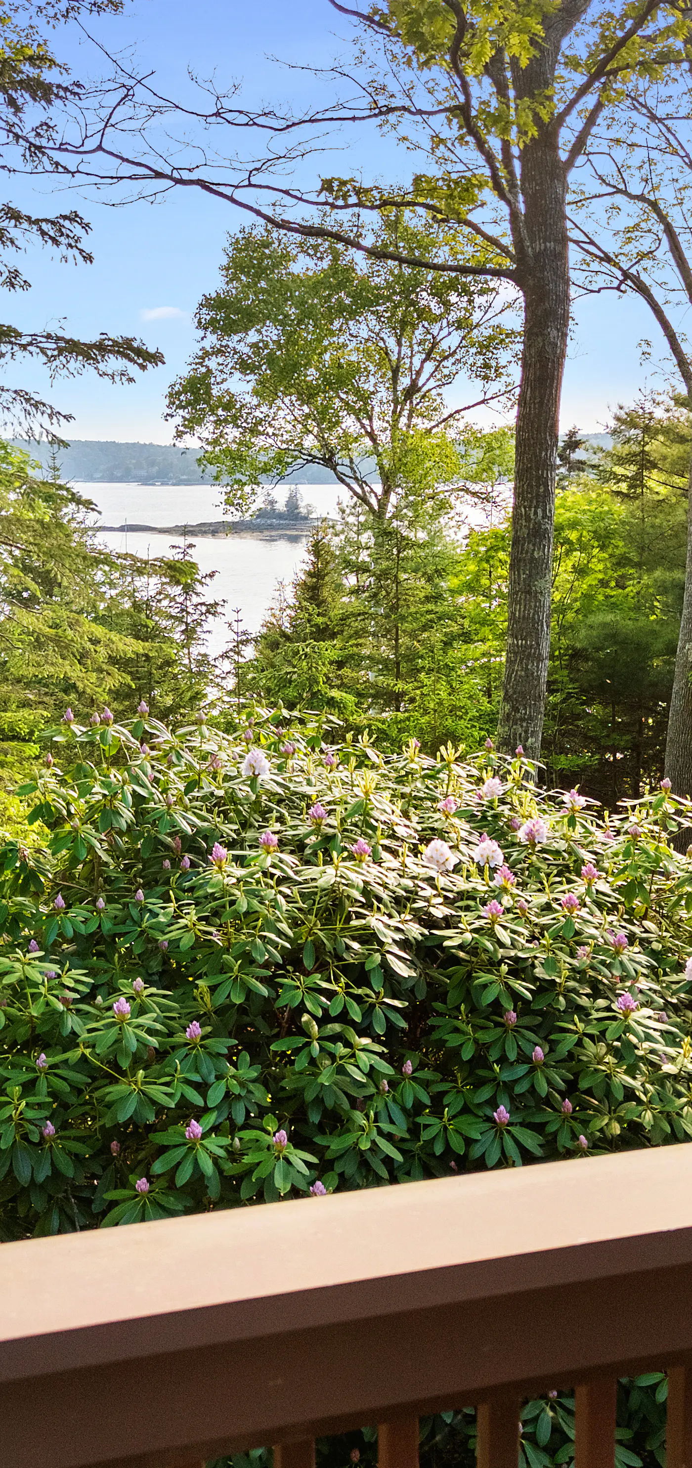 Linekin Bay Lookout
