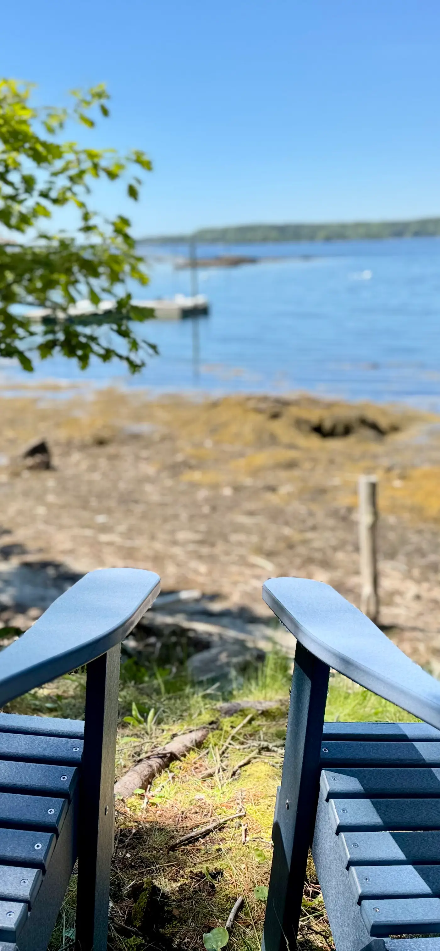 Linekin Bay Lookout