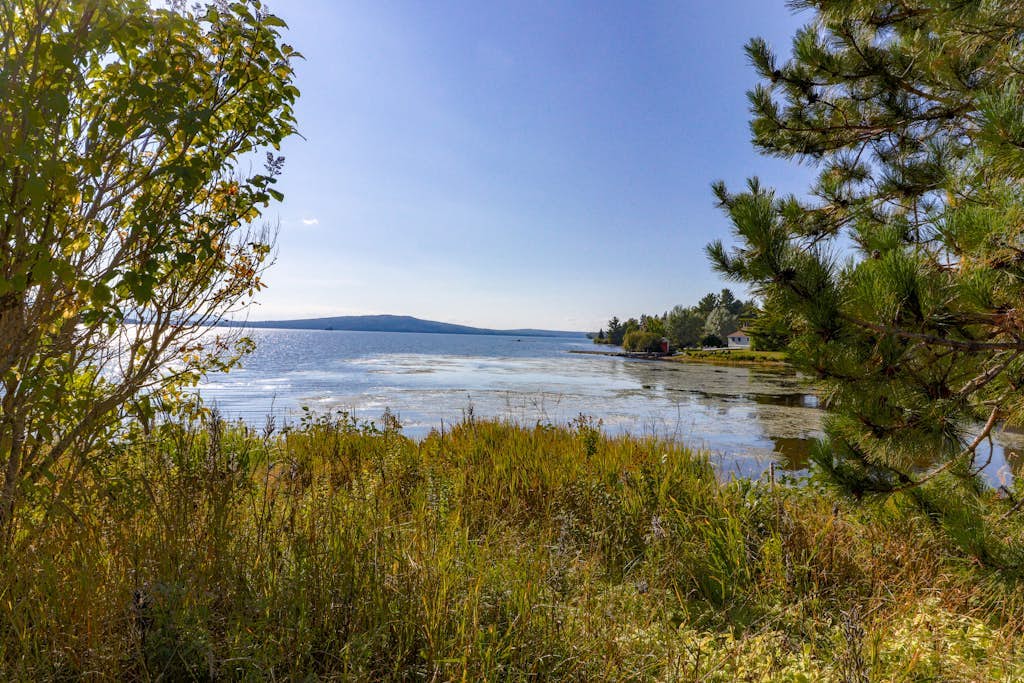 Cozy, dog-friendly waterfront cabin with large yard, porch, dock, & lake views