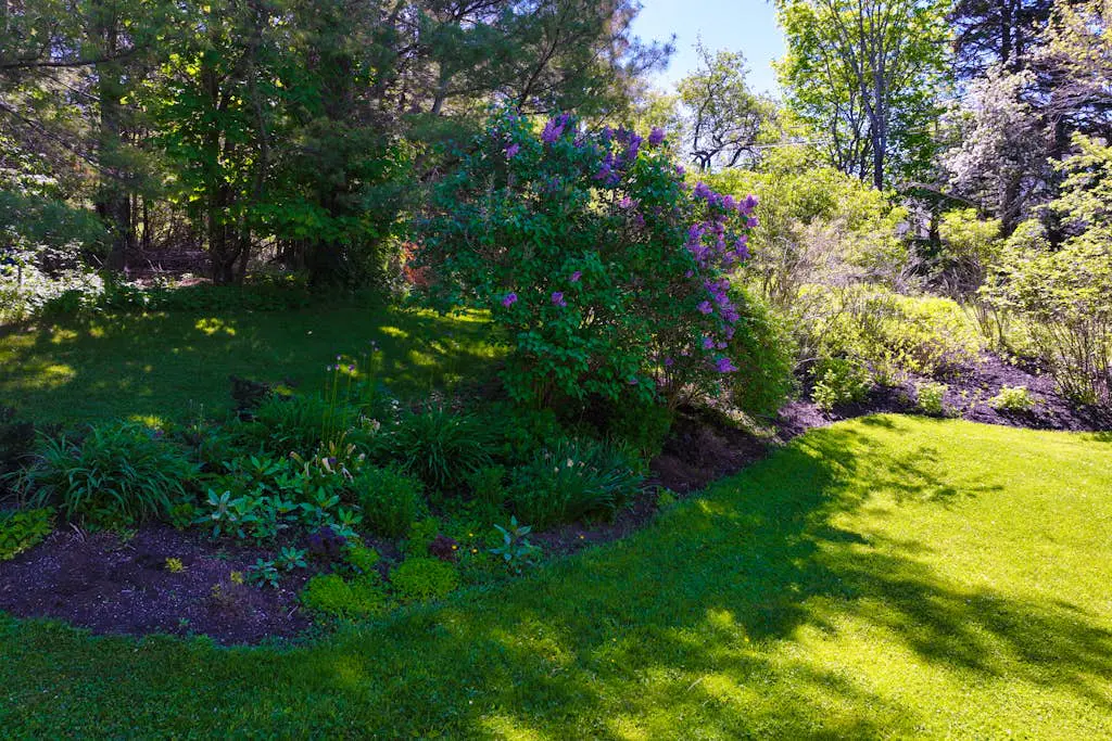 Turkey Cove Cottage