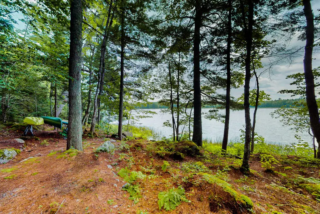 Lazy Lumberjack Lakeside Cottage