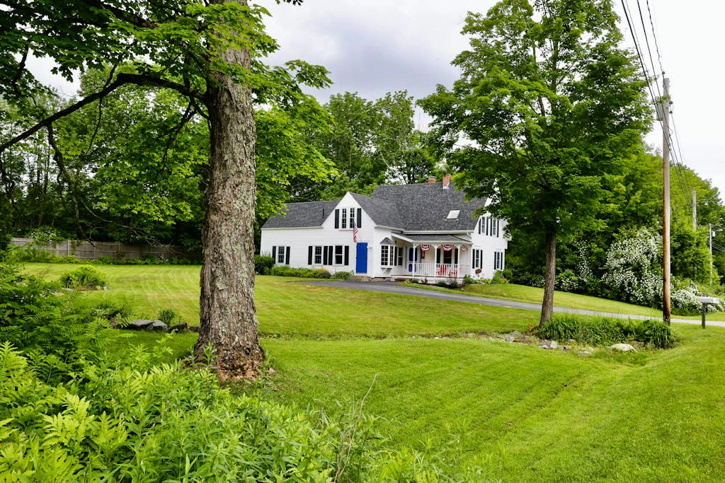 Little Loon Farm