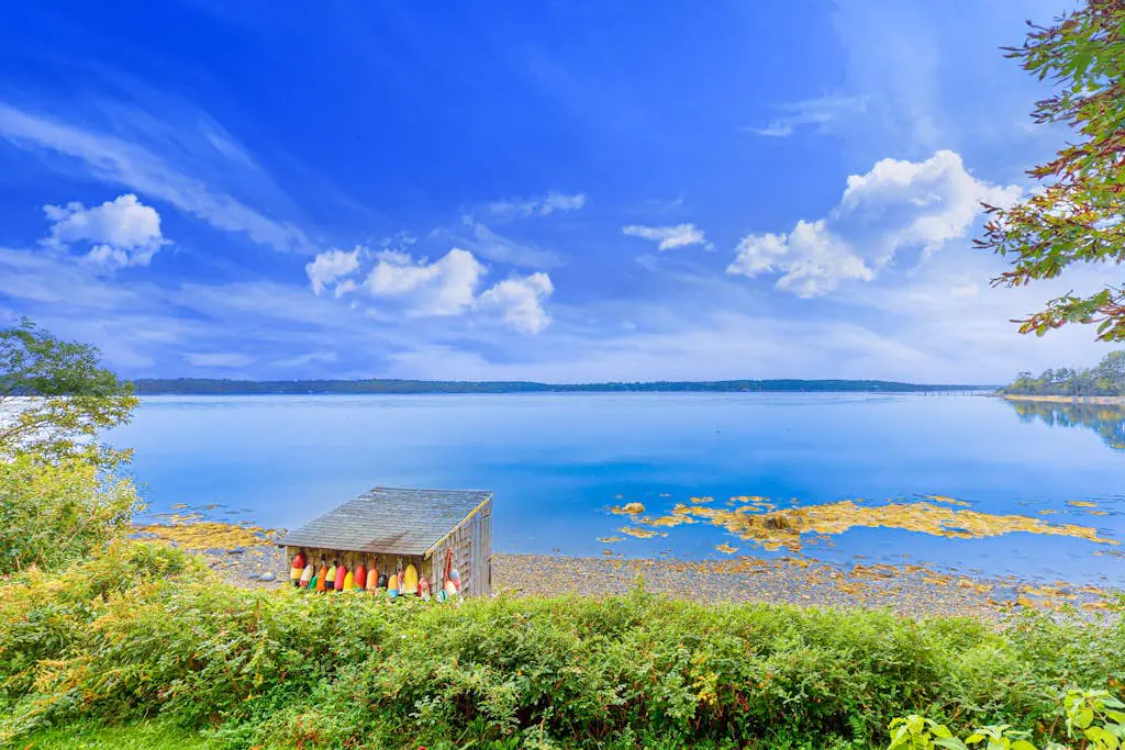 Wiley Cove