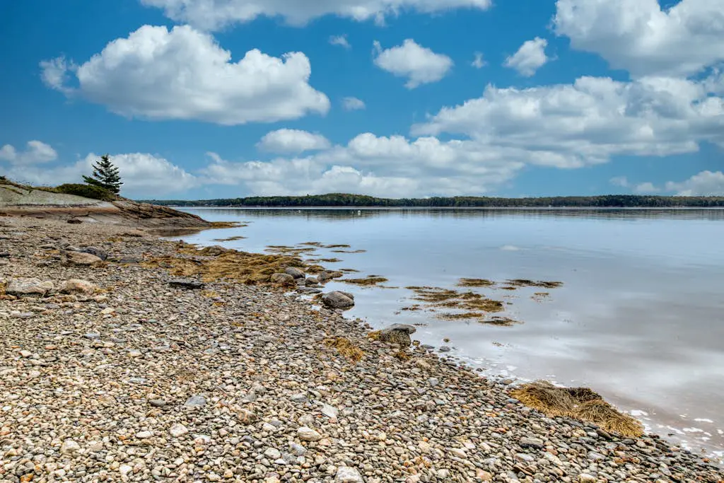 Wiley Cove