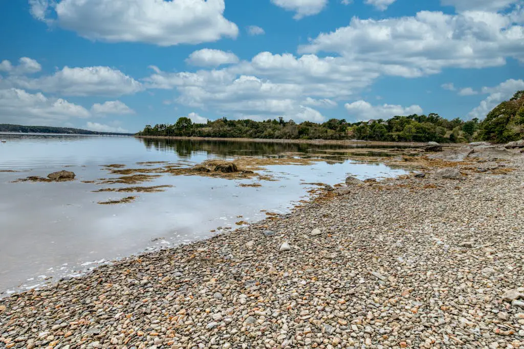 Wiley Cove