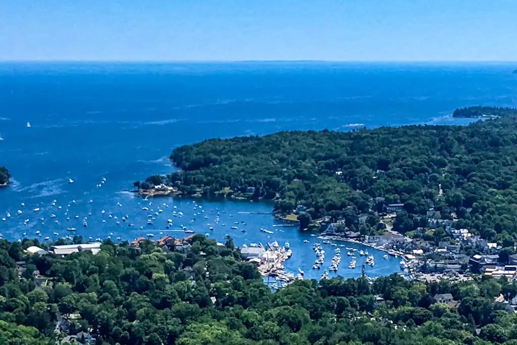 Wiley Cove
