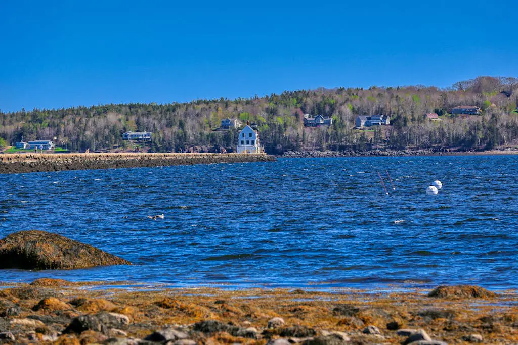 Wiley Cove