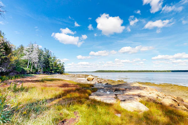 Dog-friendly, bayfront home w/rocky beach, full kitchen, washer/dryer & firepit