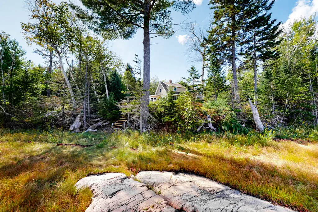 Harbor Myst