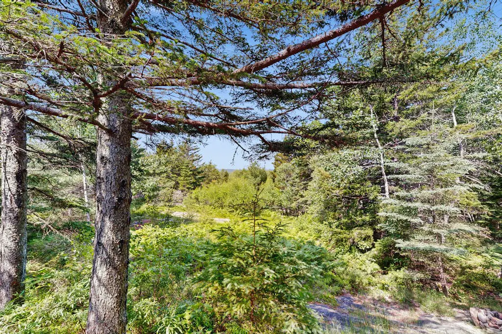 Sunset Point Mountaintop Cabin