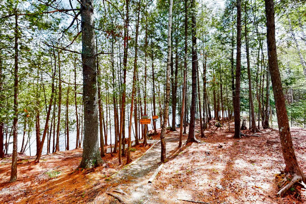 Birch Overlook