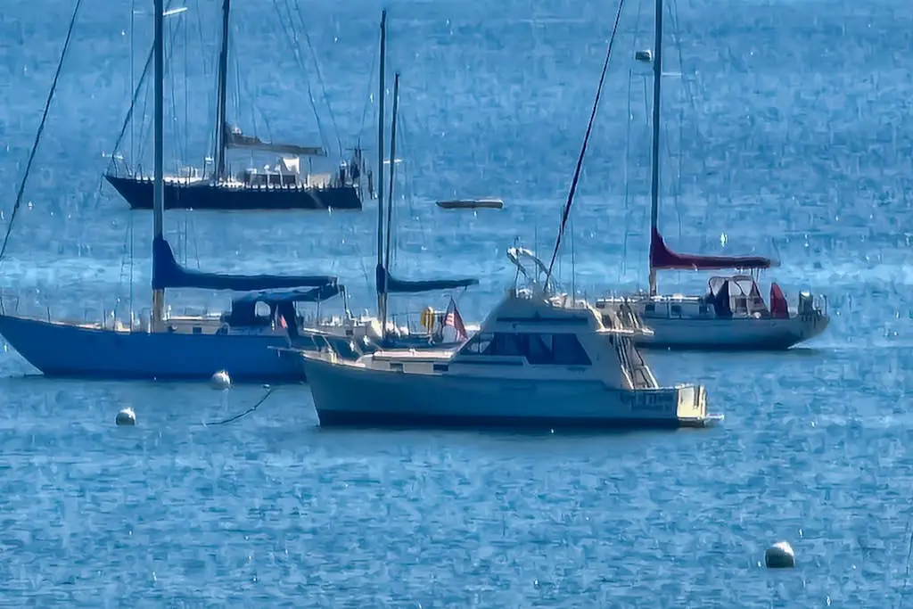 Tideview
