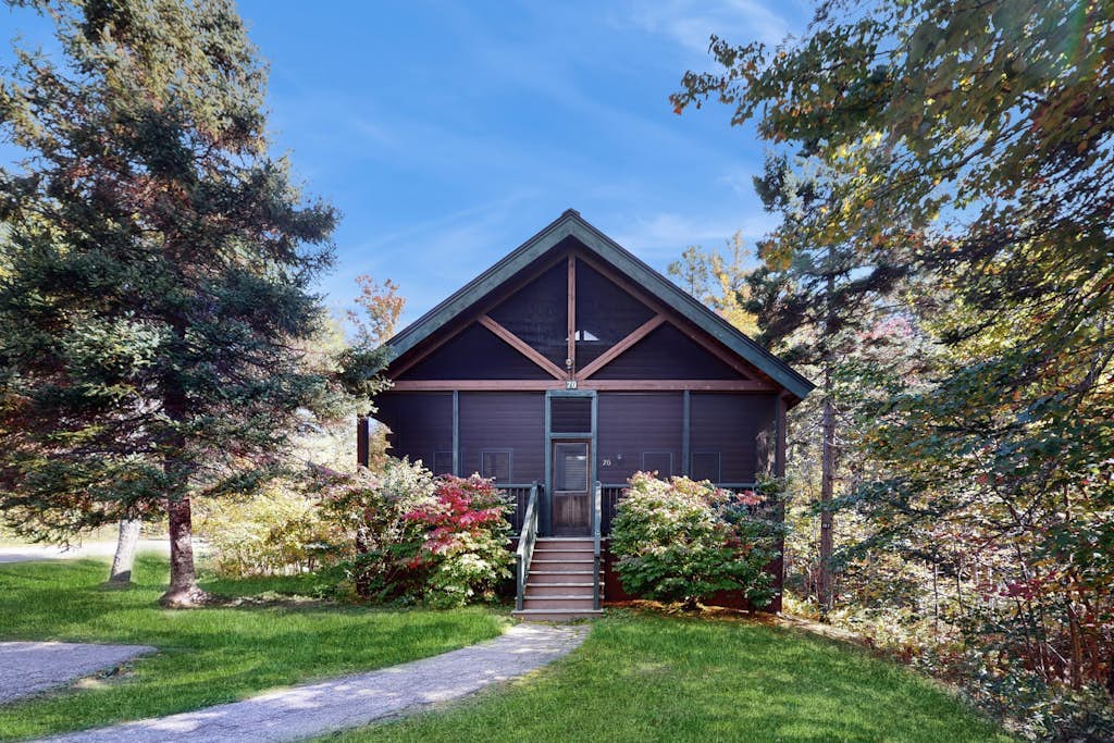 Inviting dog-friendly cabin with wooded views, full kitchen & firepit