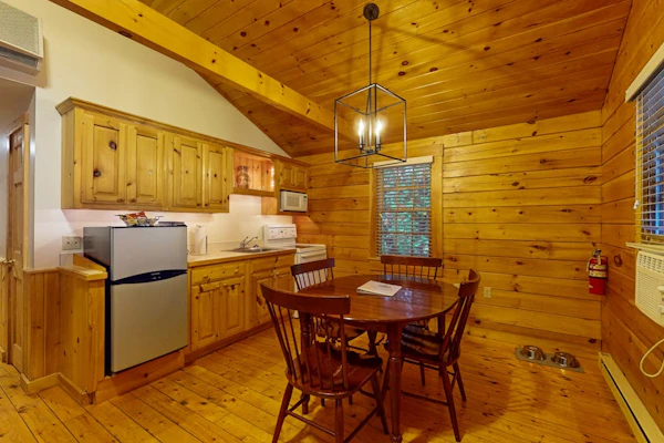 Relaxing two-bedroom dog-friendly cabin with fireplace, AC, hiking & fun