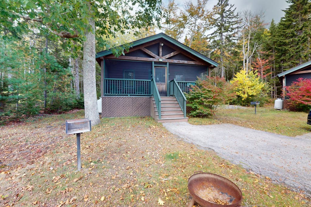Comfort meets adventure in this dog-friendly cabin w/fireplace, kitchen & more