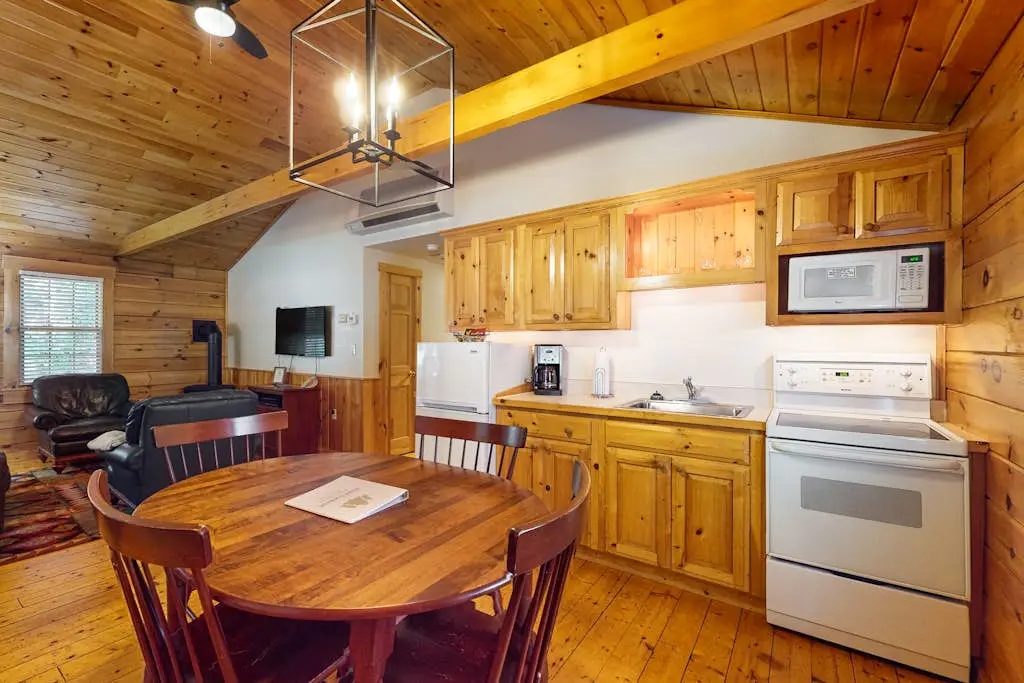 Aspen Cabin 100