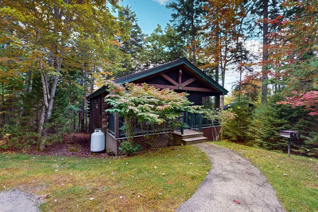 Aspen Cabin 100