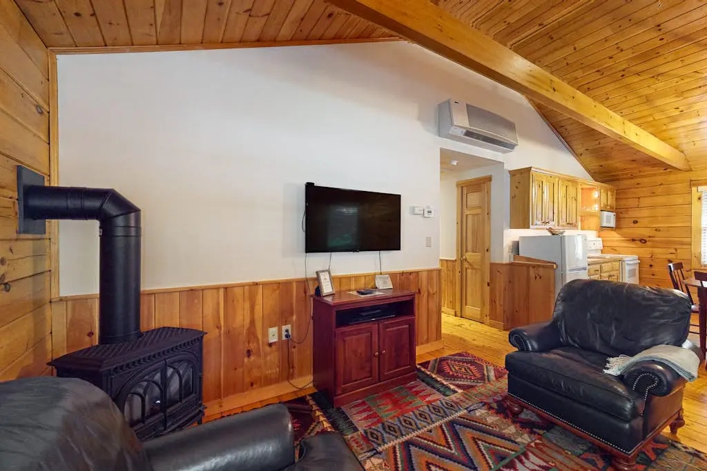 Aspen Cabin 100