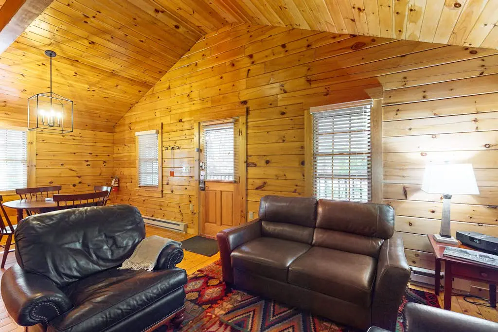 Aspen Cabin 100