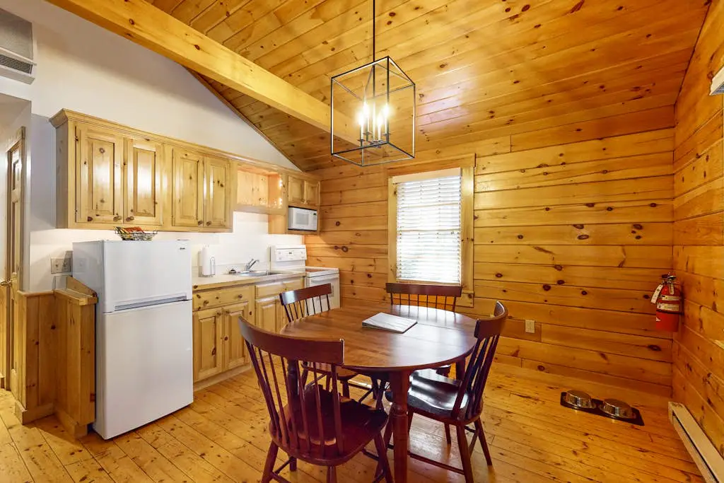 Aspen Cabin 100