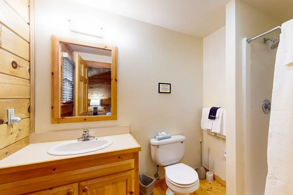 Aspen Cabin 100