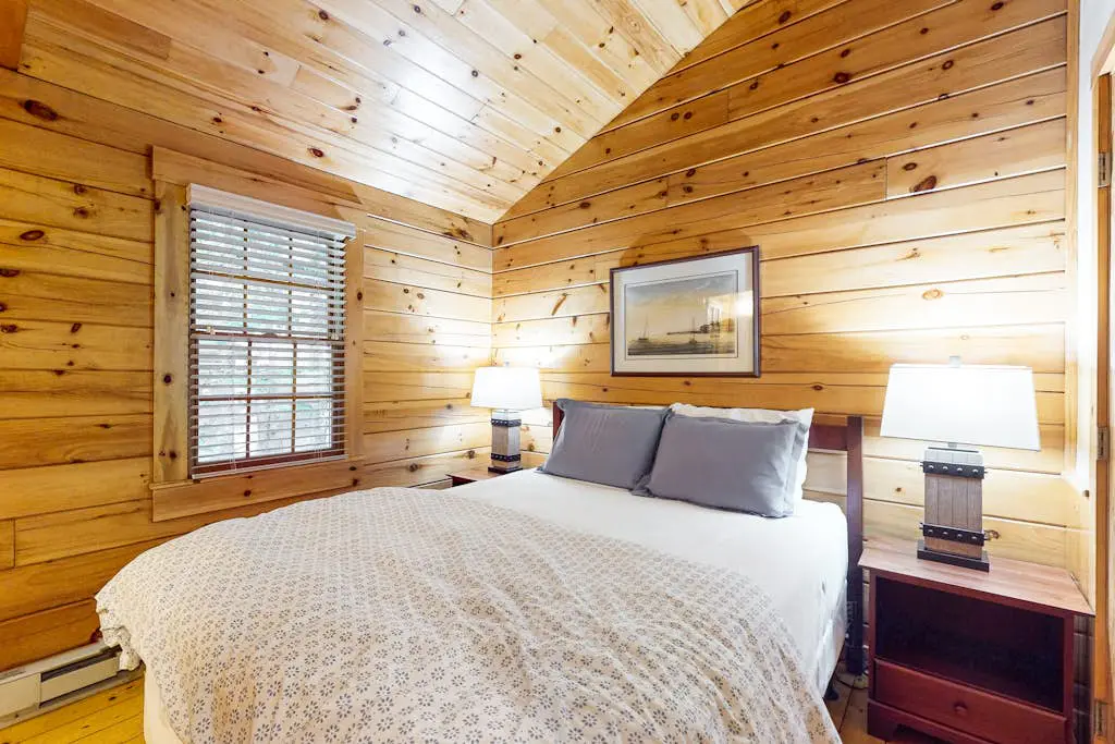 Aspen Cabin 100