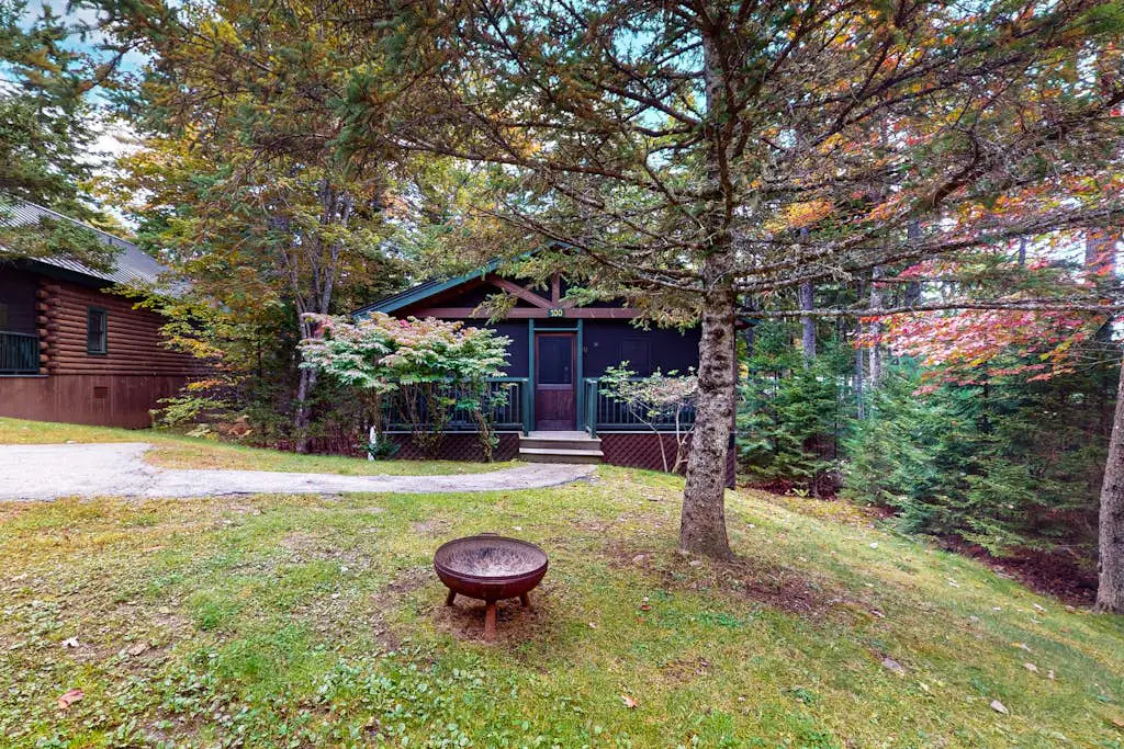 Aspen Cabin 100