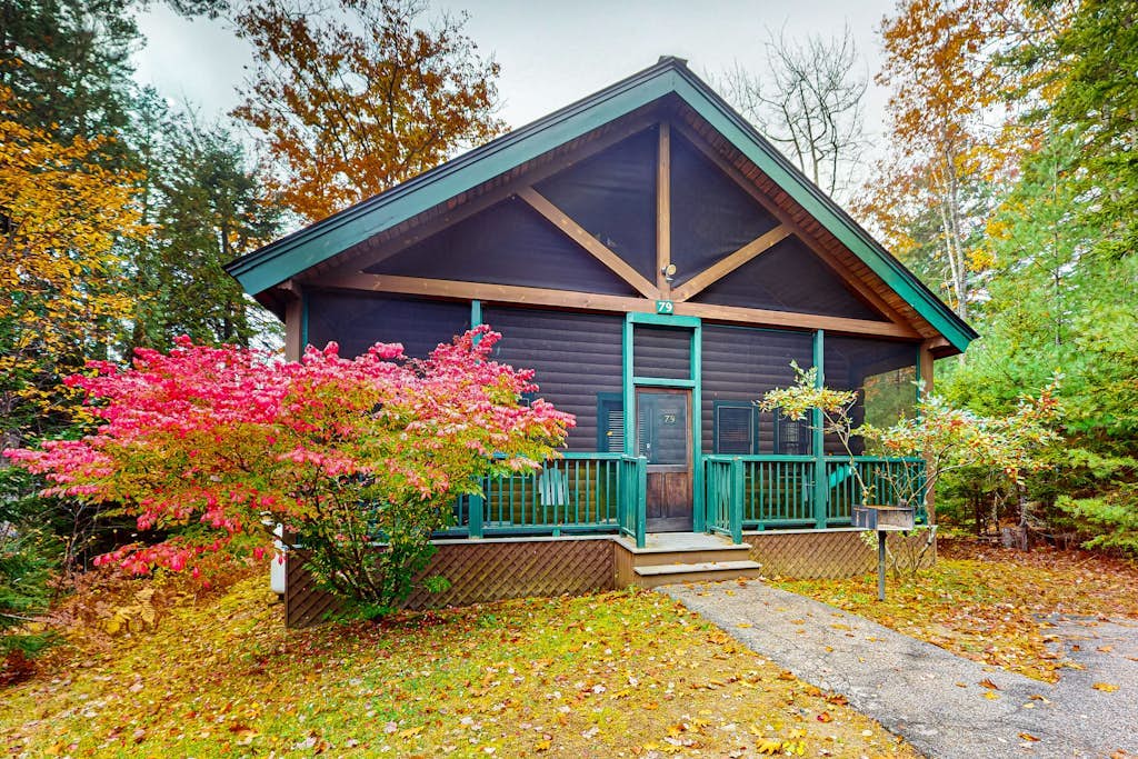 Idyllic three-bedroom dog-friendly cabin w/full kitchen, fireplace & hiking