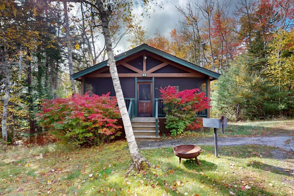 Serene two-bedroom dog-friendly cabin getaway with kitchen, fireplace & more
