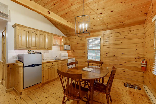 Charming cabin retreat with fireplace, kitchen, nearby hiking - dog-friendly