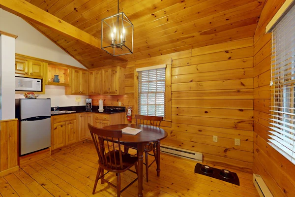 Comfortable dog-friendly cabin with fireplace & kitchenette near hiking trails