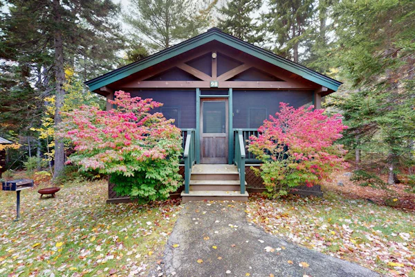 Comfortable dog-friendly cabin with fireplace & kitchenette near hiking trails