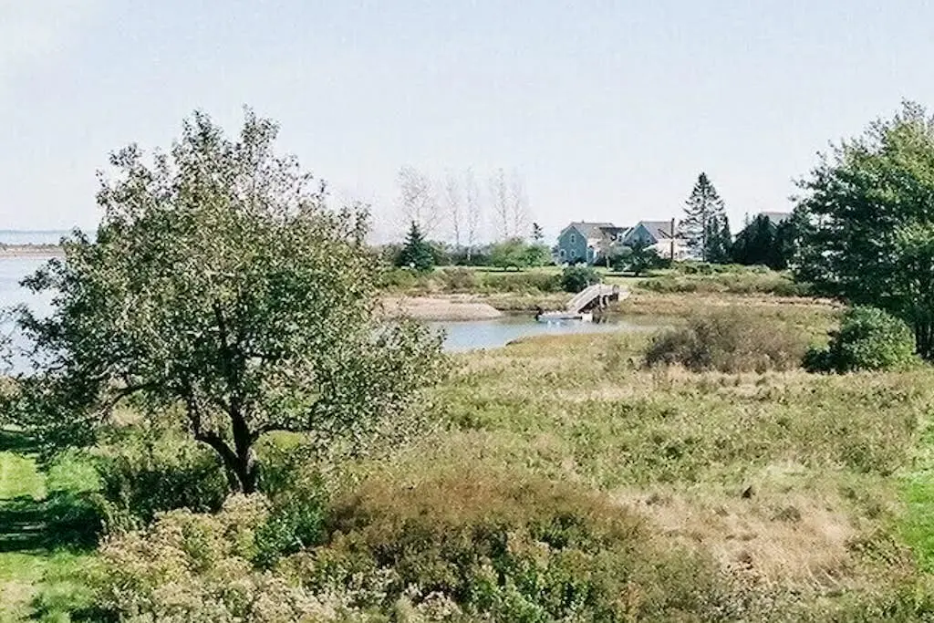 The SeaMeadow