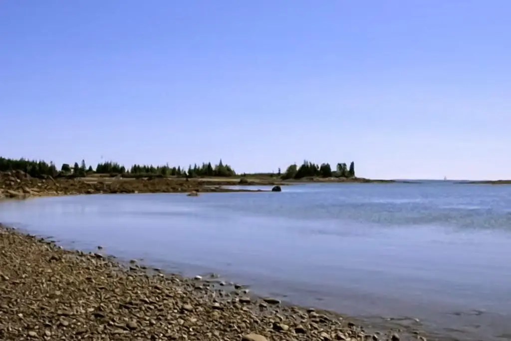 The SeaMeadow