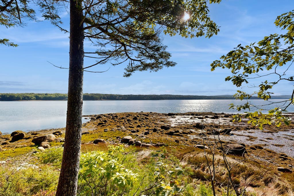 Modern Maine cottage with river views, deck, and a convenient washer/dryer