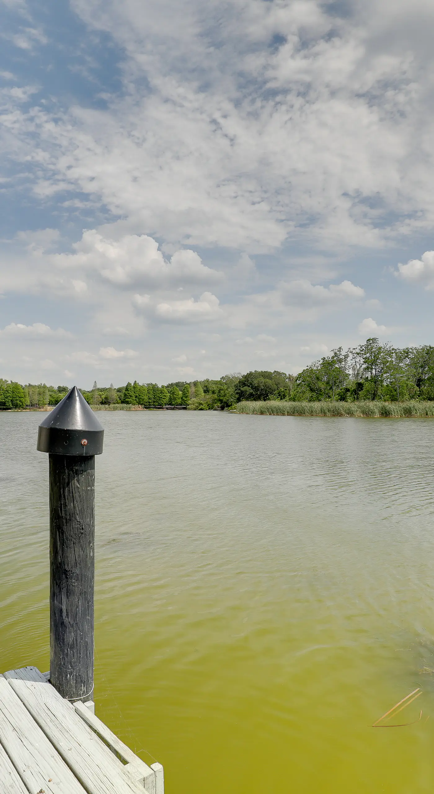 Bright Getaway w/ Ski Lake, 11 Miles to Dtwn Tampa