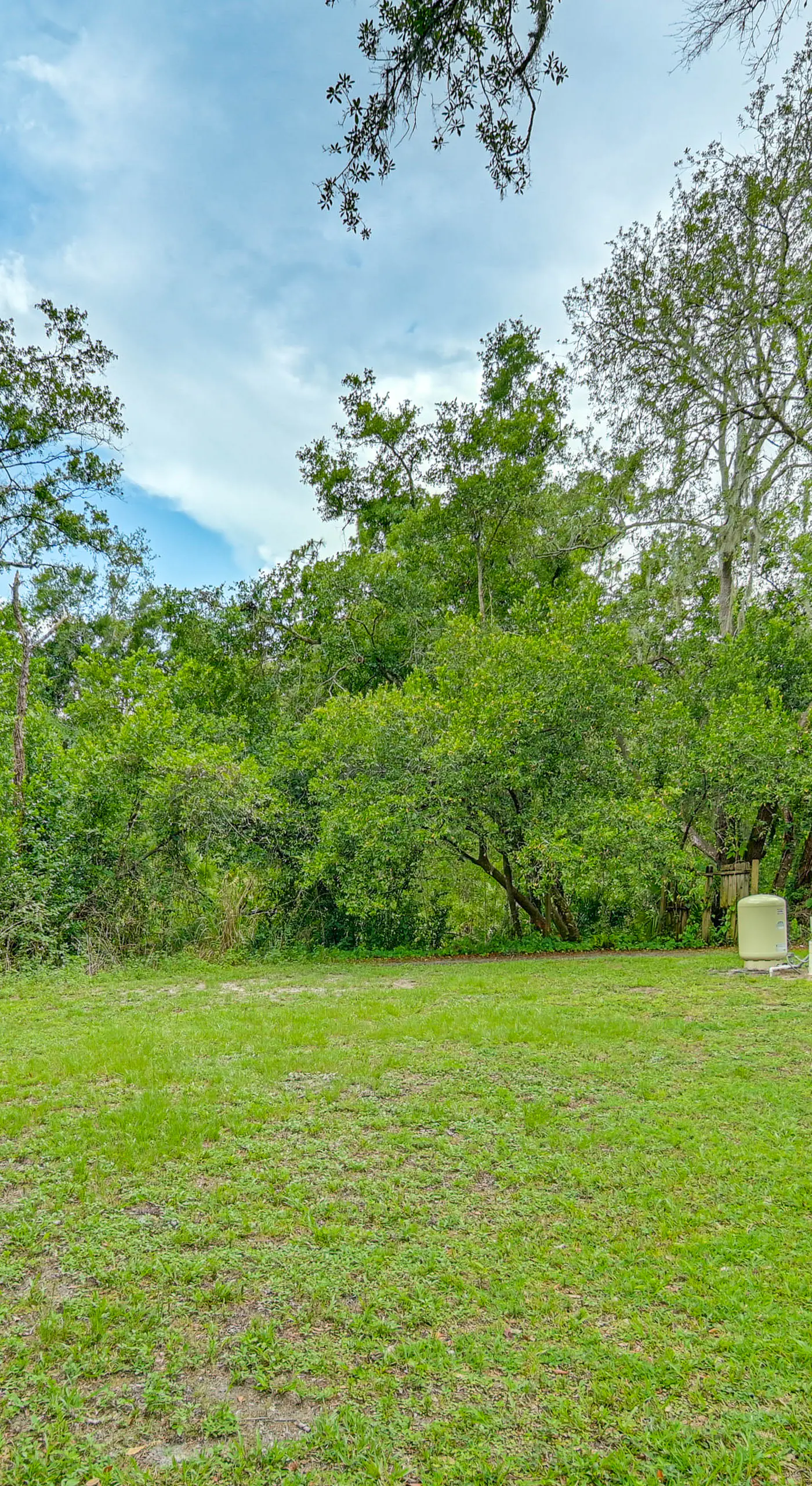 3 Mi to USF: Dog-Friendly Home w/ Large Yard