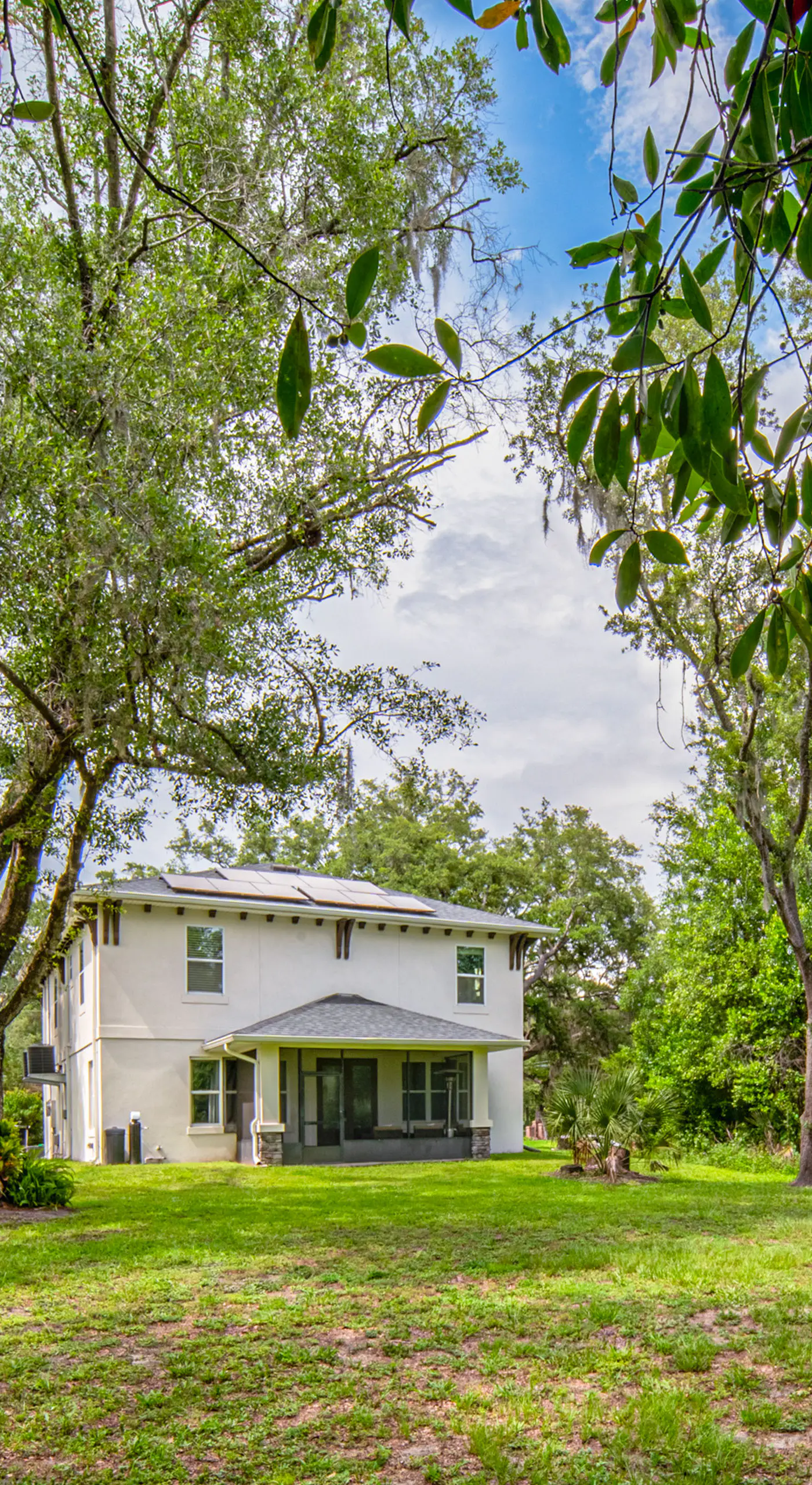 3 Mi to USF: Dog-Friendly Home w/ Large Yard