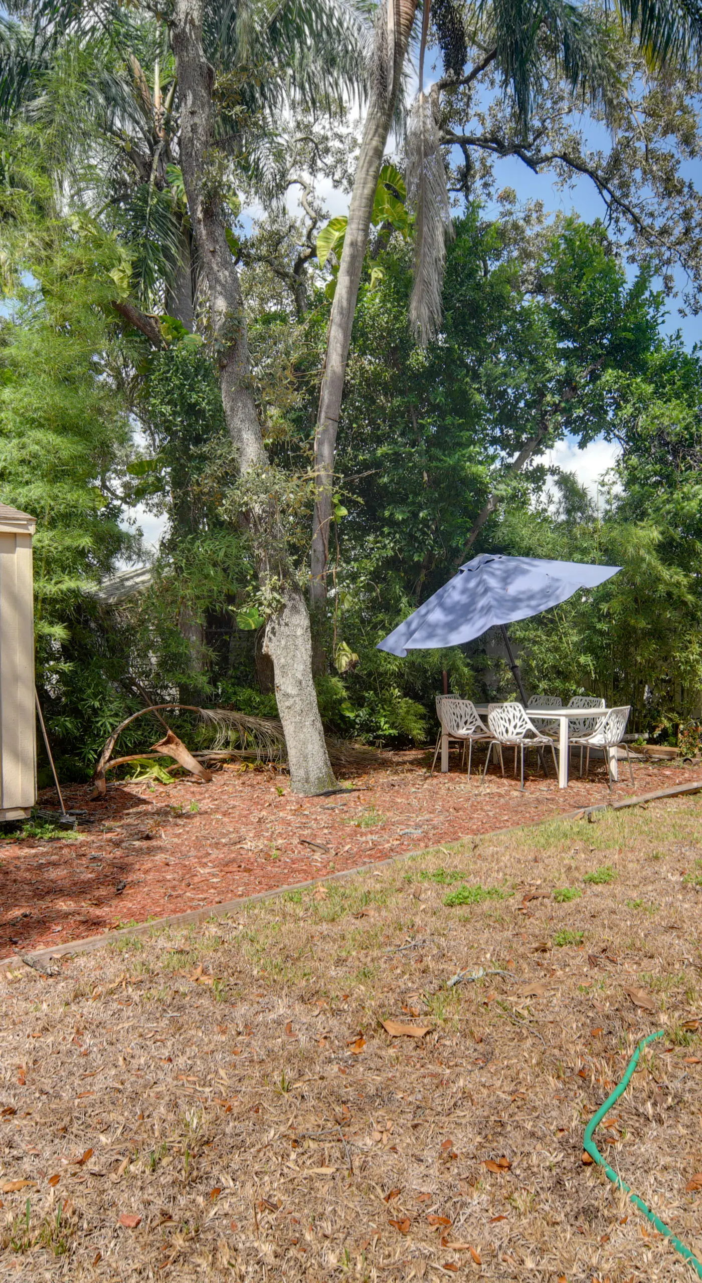 13 Mi to Busch Gardens: Tampa Gem w/ Grill & Yard