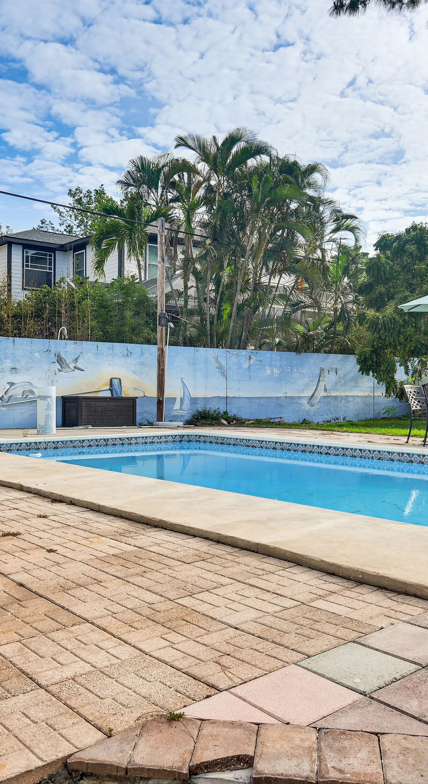Steps to Bayshore Blvd! snowbird retreat w/ Pool