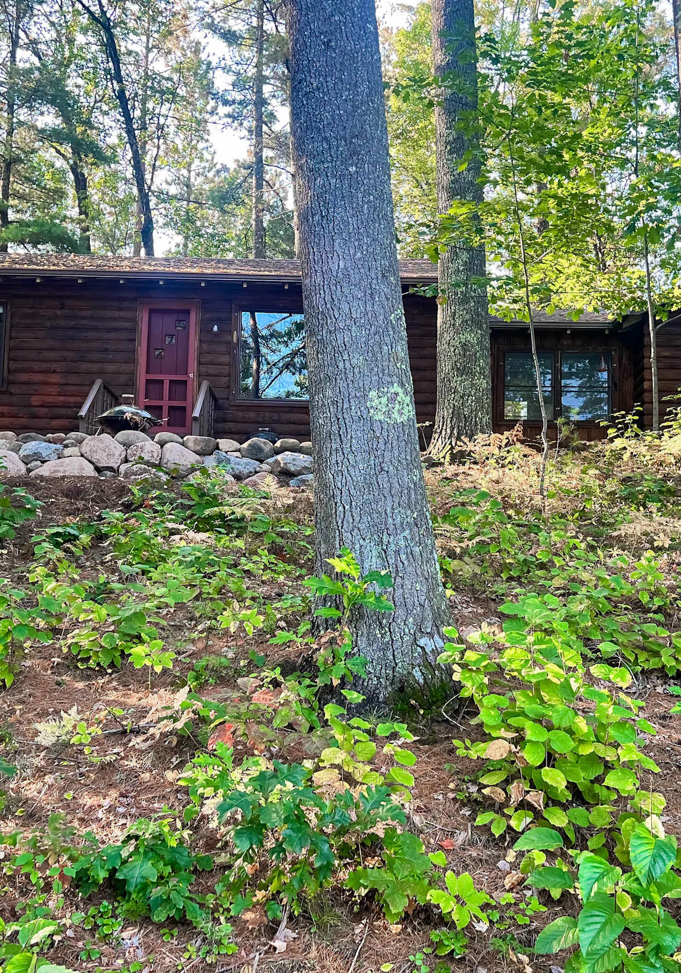 Lakefront escape on Rest Lake with dock, firepit & bike trail access