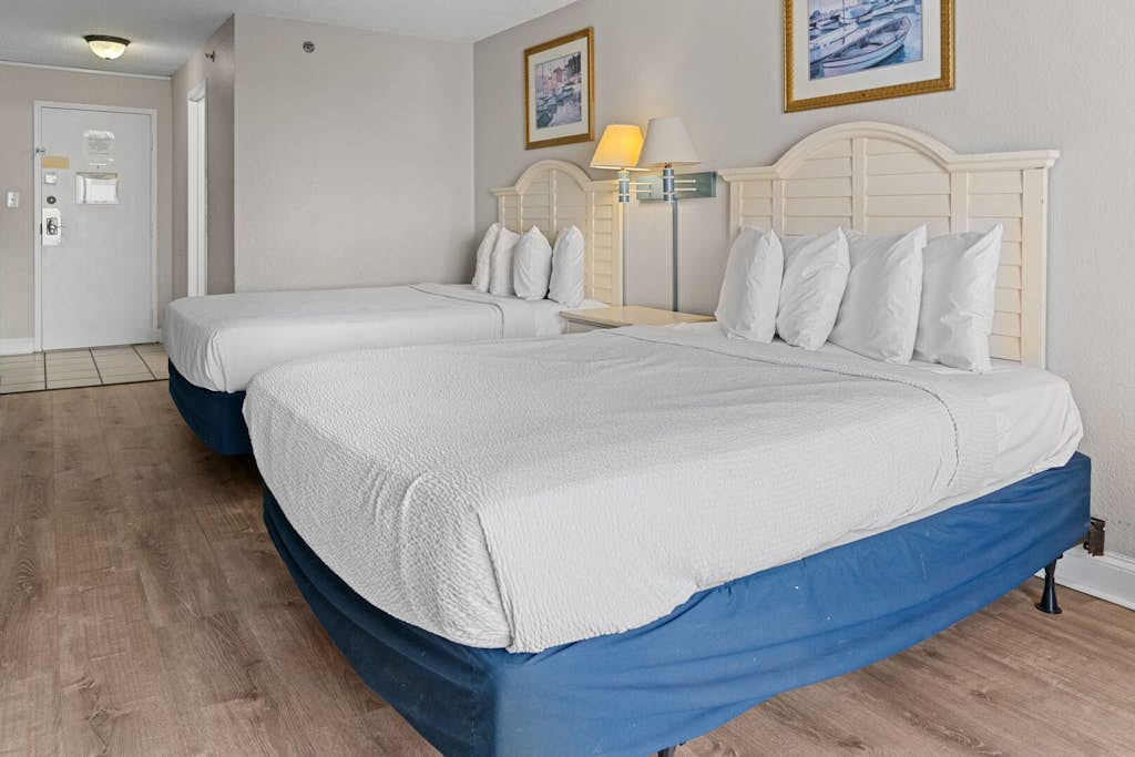 Sea Mist 51112