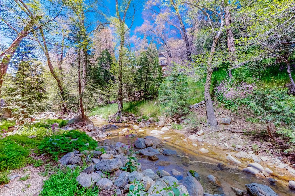 Dog-friendly water-view home near Lake Gregory with game room, fireplace, grill