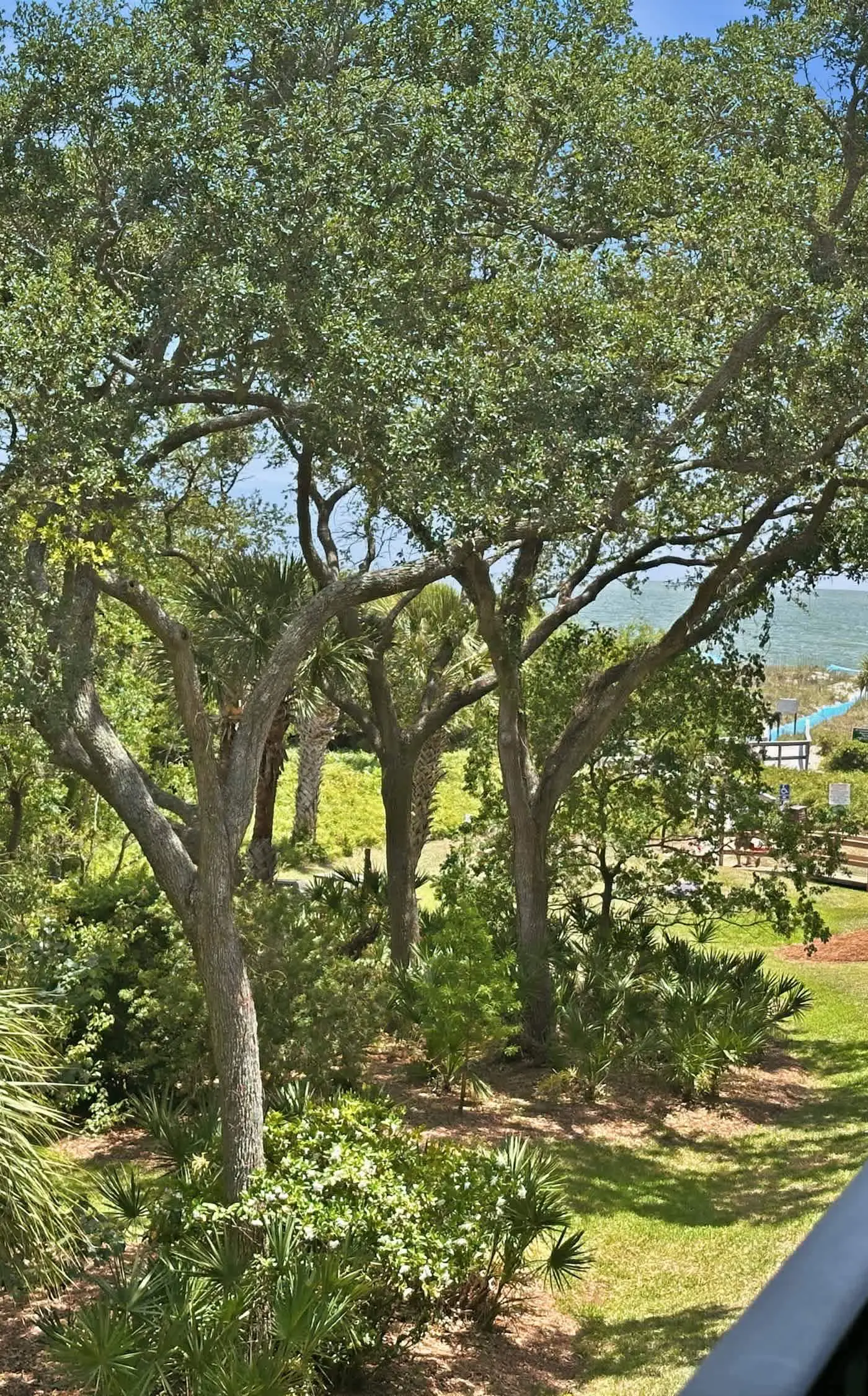 Island Club 1306