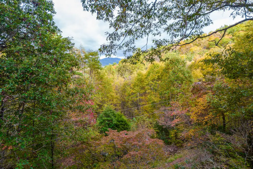 Mountain Top Tranquility
