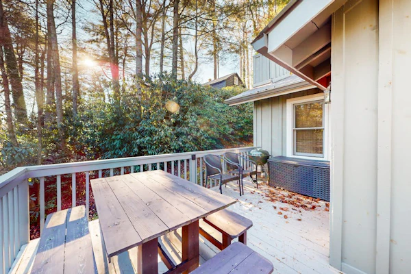 Charming cabin with private deck, fireplace, central AC, & private W/D